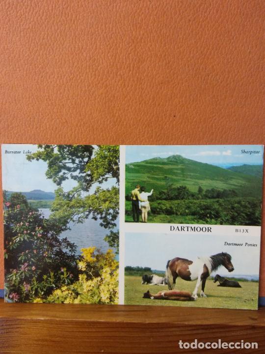 Cartoline: DARTMOOR. BONITA POSTAL. CIRCULADA.