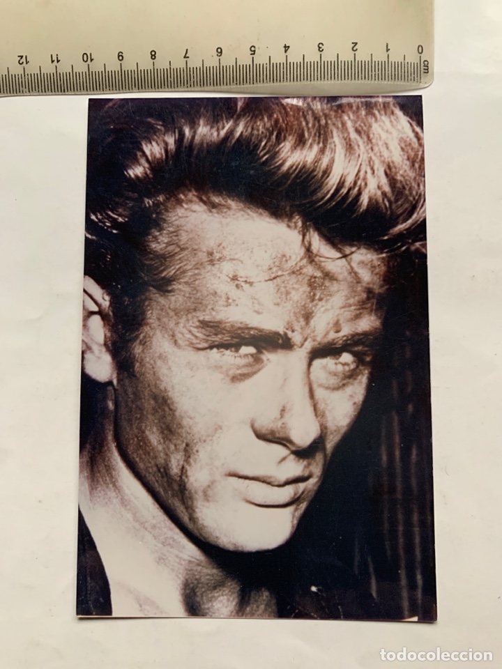 Postales: FOTO POSTAL. JAMES DEAN. - Foto 1