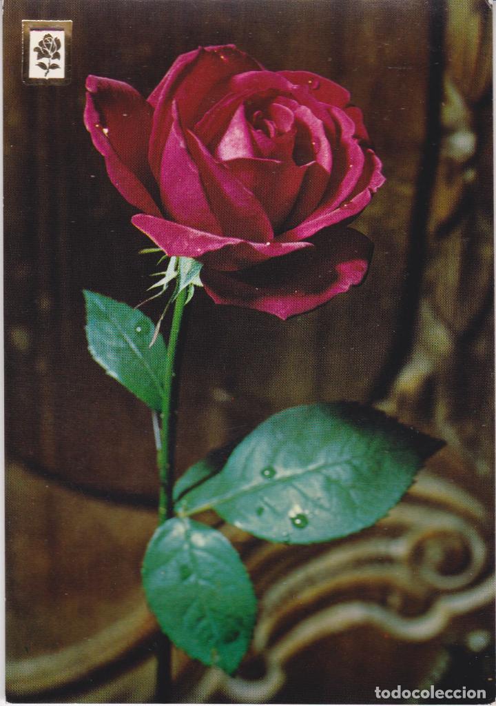 Postales: COLECCION FLORES &ndash; ESCUDO DE ORO SERIE B N&ordm;14 &ndash; EDITADA EN 1966 &ndash; S/C