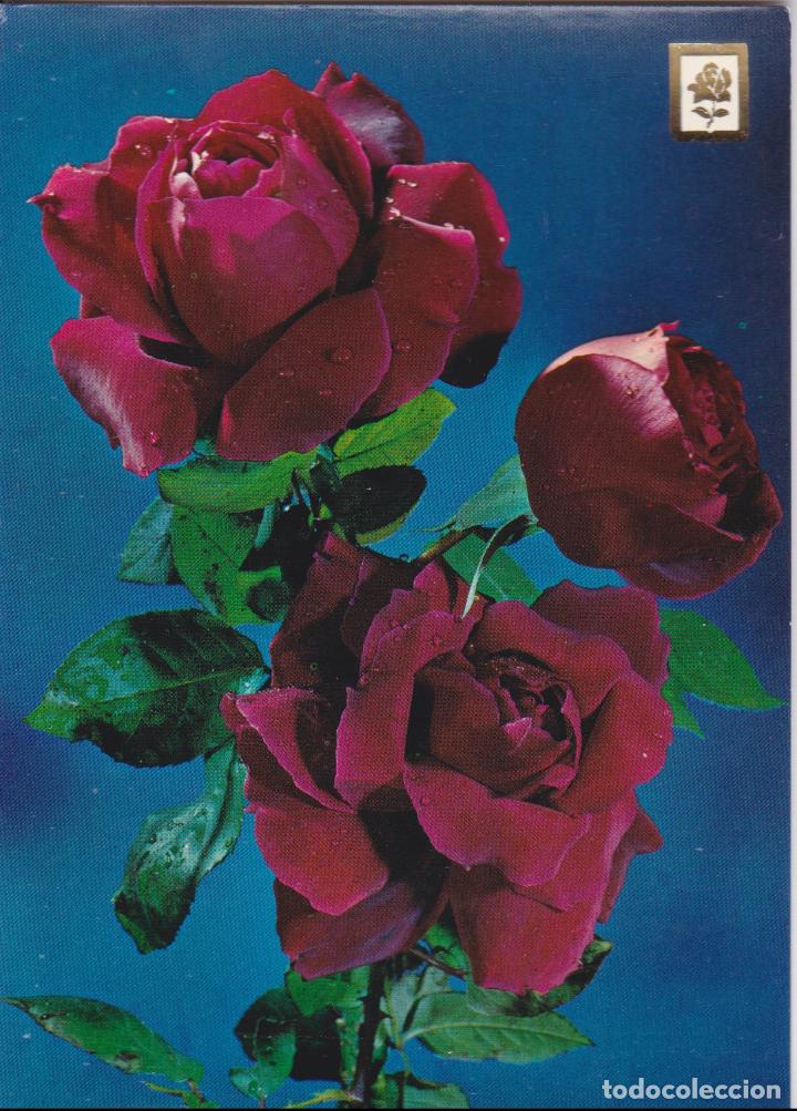 Postcards: COLECCION FLORES &ndash; ESCUDO DE ORO SERIE B N&ordm;15 &ndash; EDITADA EN 1966 &ndash; S/C