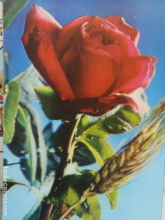 Postales: ROSA - POSTAL EN 3D - Foto 1