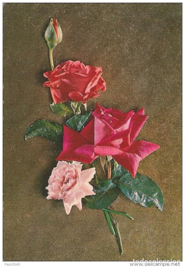 Postales: :::: PN233 - POSTAL - RAMO DE ROSAS - Foto 1