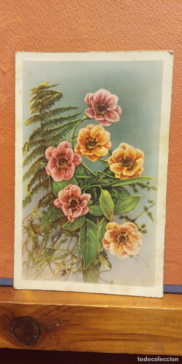 Cartes Postales: FLORES. VINTAGE. BONITA POSTAL. CIRCULADA