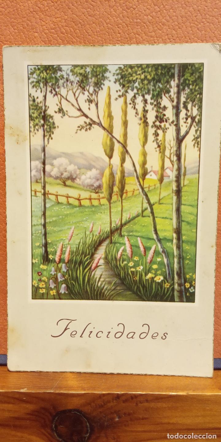 Cartes Postales: PAISAJE ARBOLES Y FLORES. FELICIDADES. VINTAGE. BONITA POSTAL. CIRCULADA