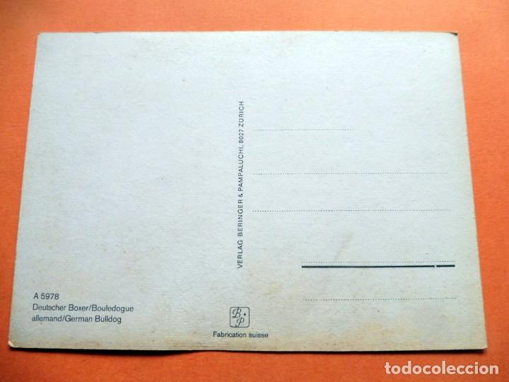 Postales: J - POSTAL - PERROS - VERLAG BERINGER - N&Uacute;M A 5978 - NO CIRCULADA - Foto 2