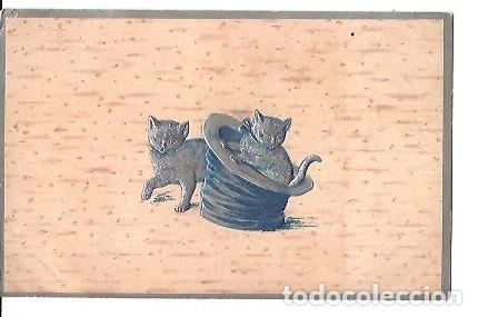 Postales: ANTIGUA POSTAL GATOS - Foto 1