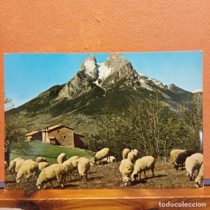 Postales: BERGA. PEDRAFORCA. BONITA POSTAL. CIRCULADA - Foto 1