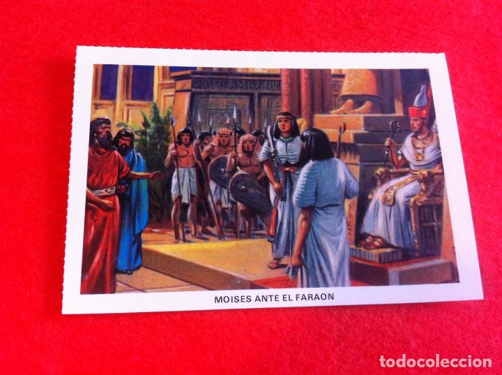 Cartes Postales: LAS M&Aacute;S BELLAS TARJETAS POSTALES. LA SAGRADA BIBLIA. MOIS&Eacute;S ANTE EL FARA&Oacute;N