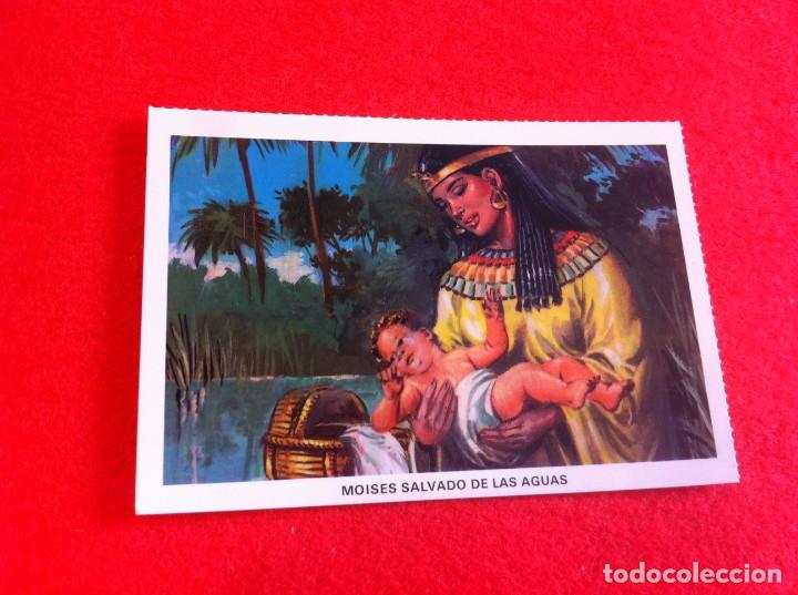 Postkarten: LAS M&Aacute;S BELLAS TARJETAS POSTALES. LA SAGRADA BIBLIA. MOIS&Eacute;S SALVADO DE LAS AGUAS