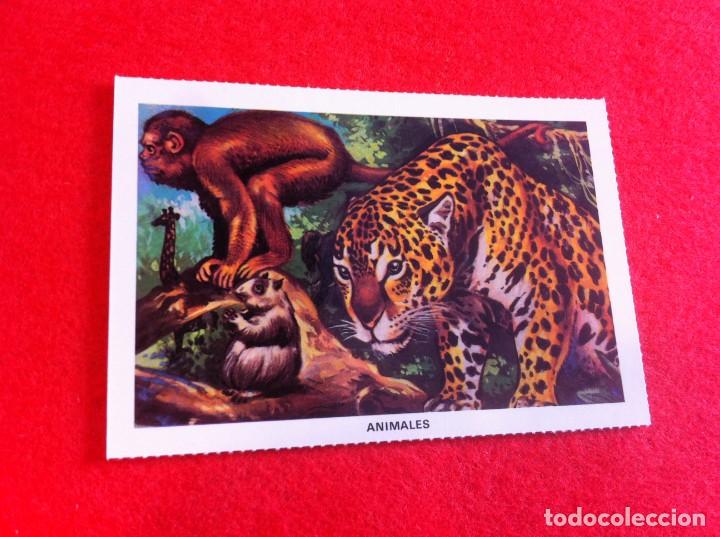 Postkarten: LAS M&Aacute;S BELLAS TARJETAS POSTALES. LA SAGRADA BIBLIA. ANIMALES