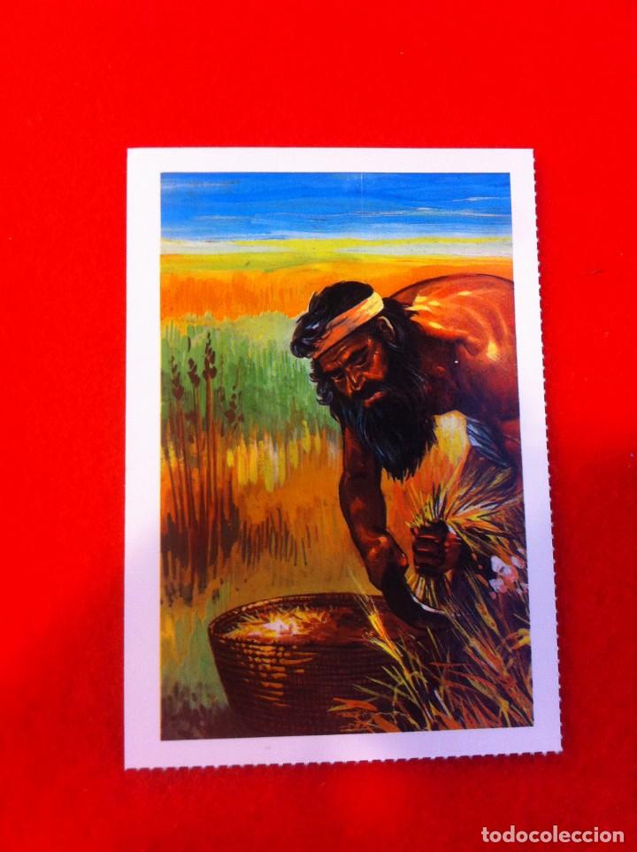 Cartes Postales: LAS M&Aacute;S BELLAS TARJETAS POSTALES. EGIPTO, TIERRA DE FARAONES