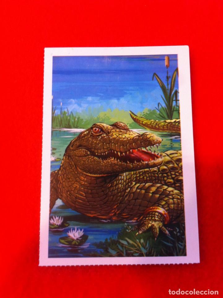 Cartes Postales: LAS M&Aacute;S BELLAS TARJETAS POSTALES. EGIPTO, TIERRA DE FARAONES