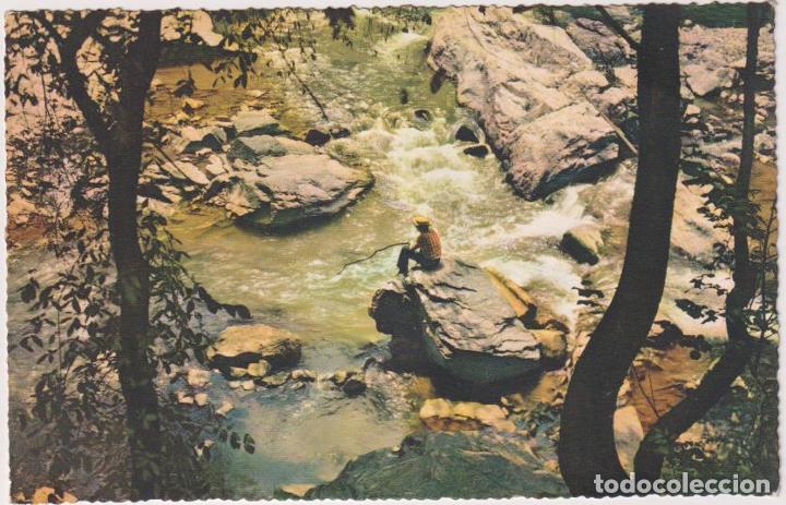 Postales: Postal Italiana - Foto 1