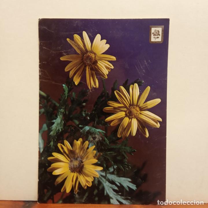Postales: FLORES. BONITA POSTAL. CIRCULADA - Foto 1