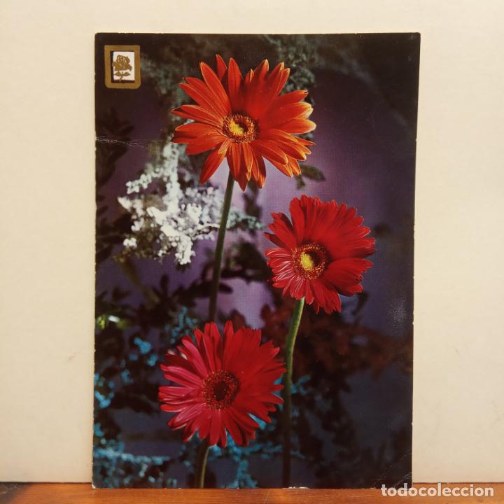 Postales: FLORES. BONITA POSTAL. CIRCULADA - Foto 1