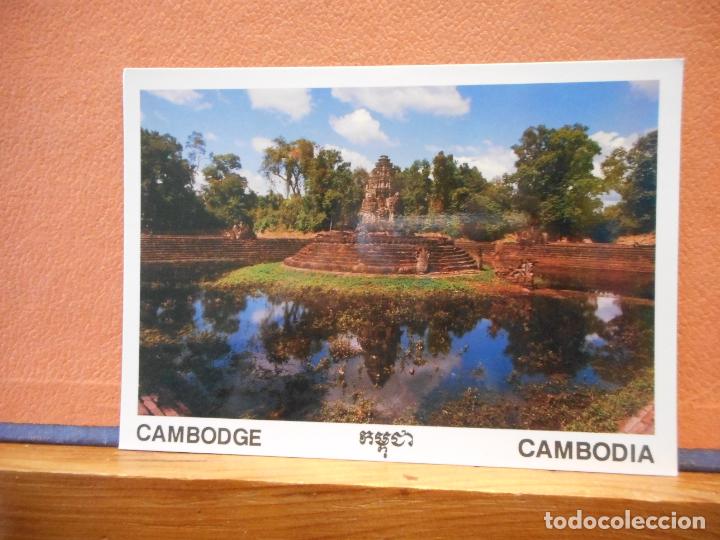 Postales: CAMBODIA. BONITA POSTAL. NUEVA. - Foto 1