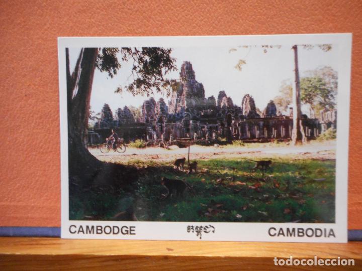 Cartoline: BAYON. CAMBODIA. BONITA POSTAL. NUEVA.