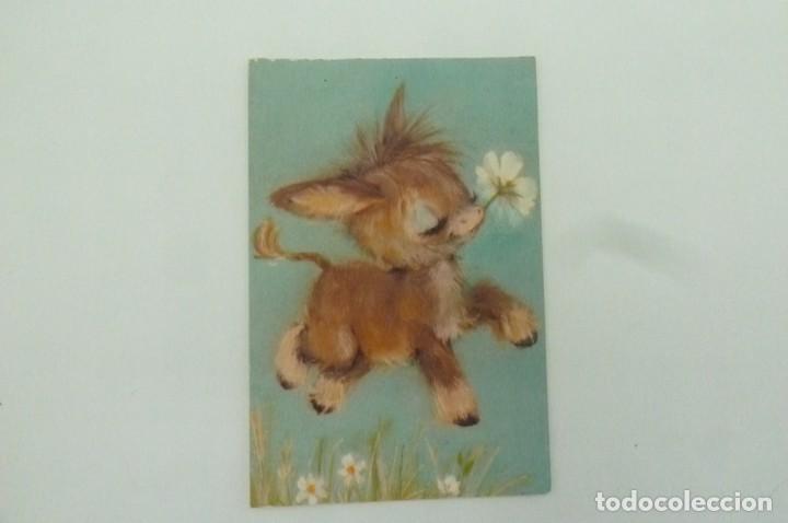 Postales: postal Hallmark. Burrito con flor - Foto 5