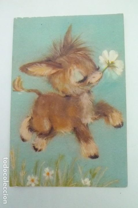 Postales: postal Hallmark. Burrito con flor - Foto 1