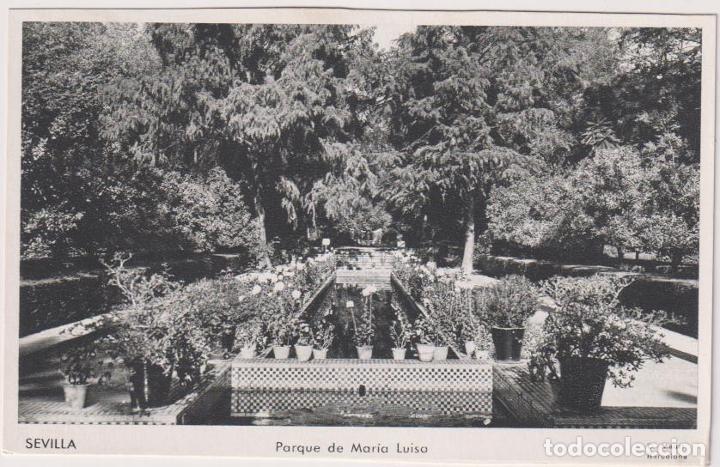 Postales: Sevilla. Parque de mar&iacute;a Luisa. G. Mauri - Foto 1