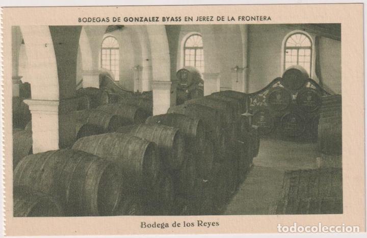 Postales: Postal. Publicidad de Gonz&aacute;lez Biass. Bodega de los Reyes - Foto 1