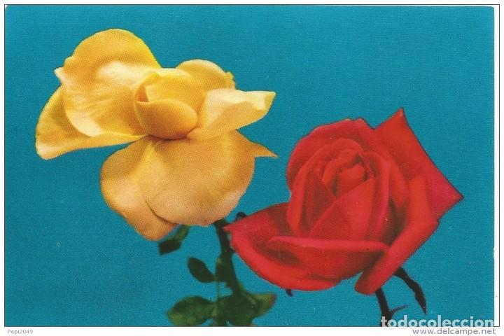 Postcards: *** PR30 - POSTAL - DOS BONITAS ROSAS
