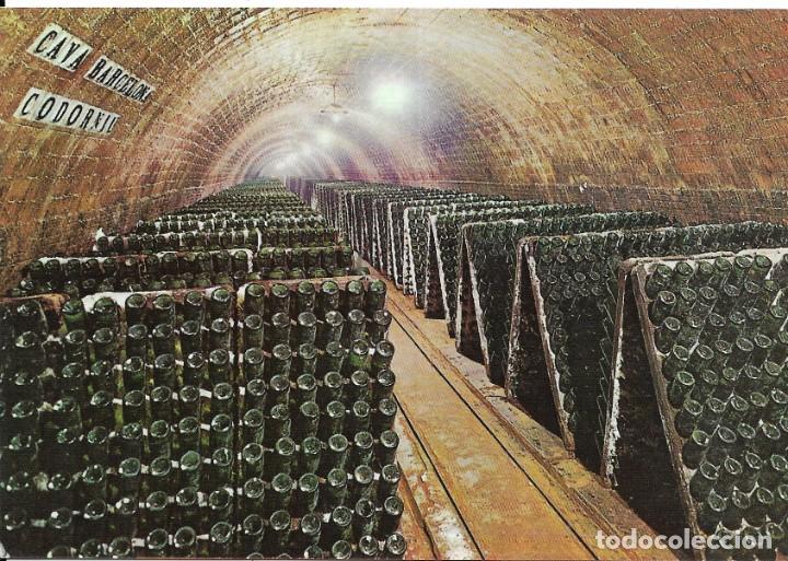 Postales: *** PR306 - POSTAL - CAVAS CODORNIU - BOTELLAS EN PUPITRE - Foto 1