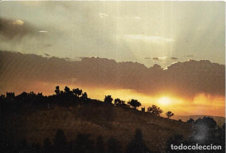 Postales: *** PR342 - POSTAL - SUNSET AT THE OASIS - Foto 1