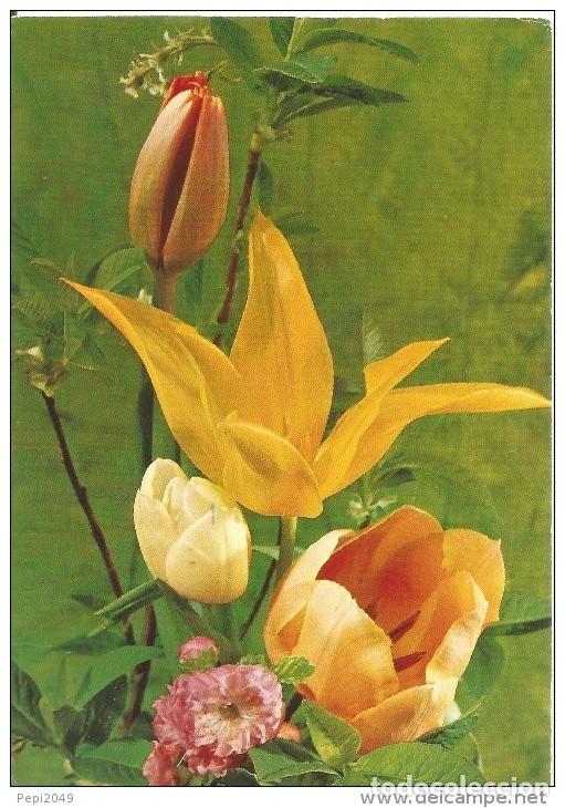 Postales: :::: PR459 - POSTAL - BONITO RAMO DE FLORES - Foto 1