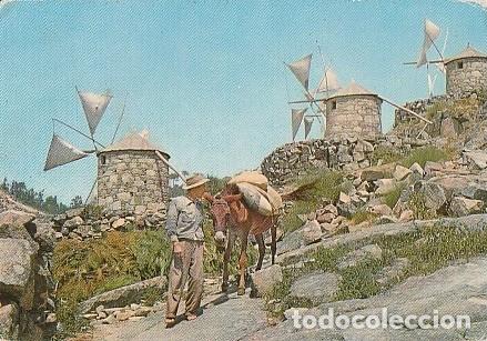 Cartoline: Portugal & Marcophilia, Abeja y Viejos Molinos de Viento, Viana do Castelo a Albarraque 1970 (138)