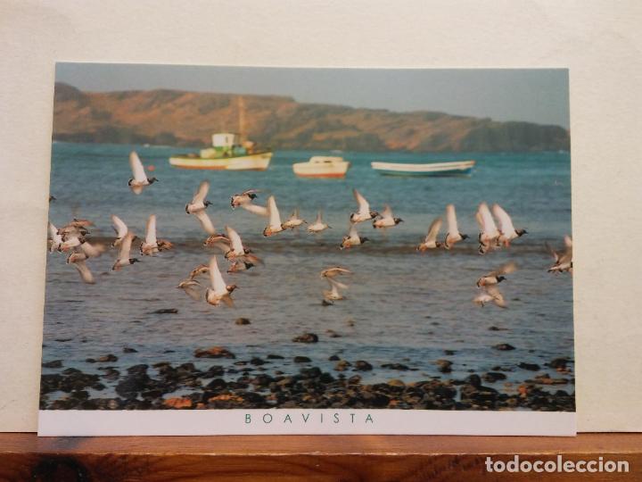 Cartoline: SAL REI. BOAVISTA. CABO VERDE. BONITA POSTAL. NO CIRCULADA