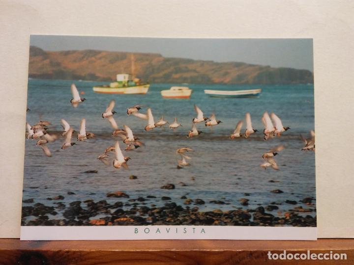 Cartoline: SAL REI. BOAVISTA. CABO VERDE. BONITA POSTAL. NO CIRCULADA