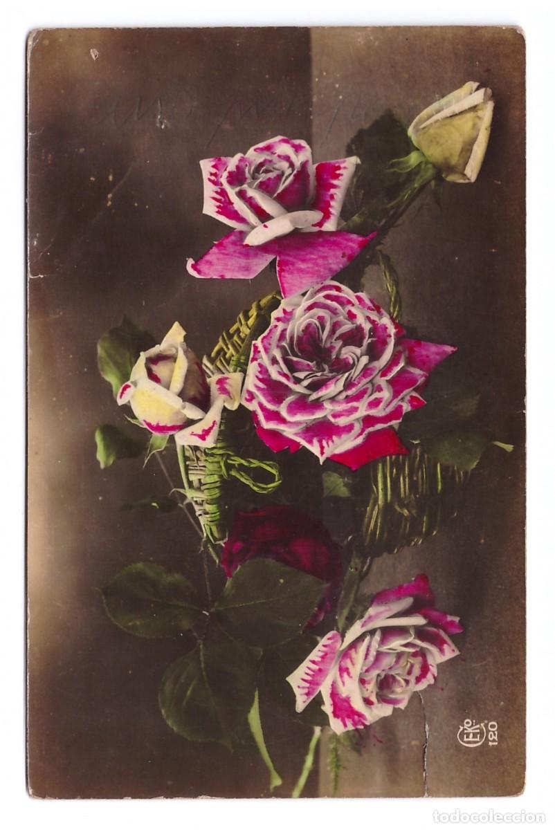 MOTIVO FLORAL // CIRCULADA