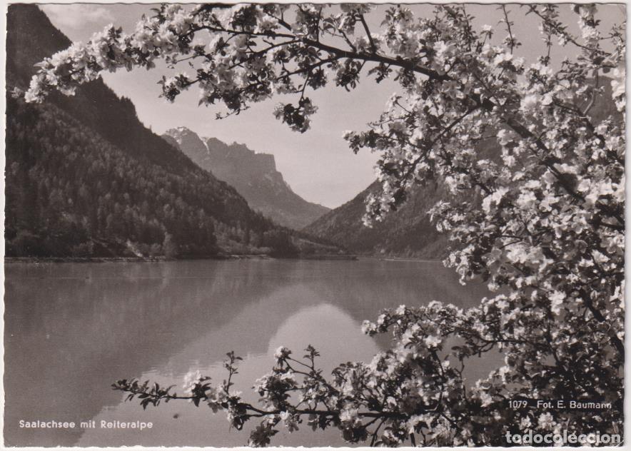 Postales: Foto-Postal. Saalachsee mit Reiteralpe (Alemania)