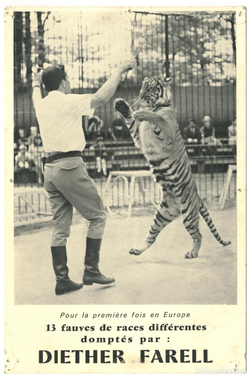 Postales: Diether Farell_Circo Felinos - Foto 1