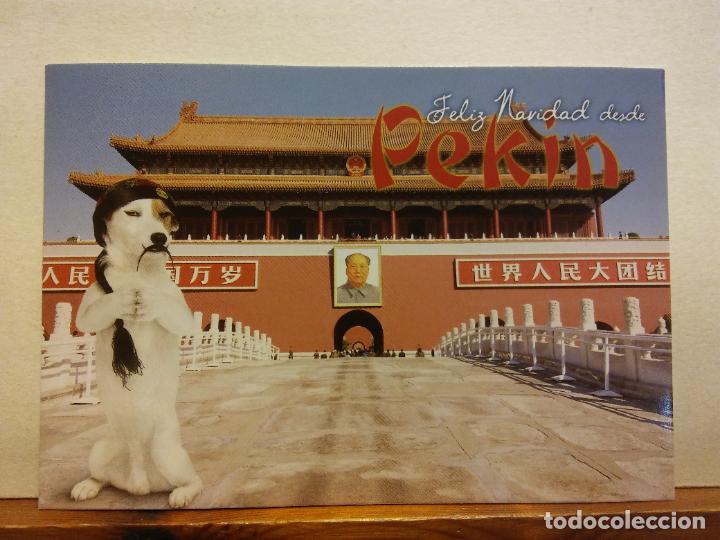 Cartes Postales: FELIZ NAVIDAD DESDE PEK&Iacute;N. BONITA POSTAL. NO CIRCULADA