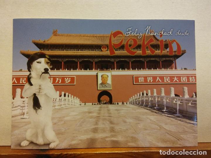 Cartes Postales: FELIZ NAVIDAD DESDE PEK&Iacute;N. BONITA POSTAL. NO CIRCULADA