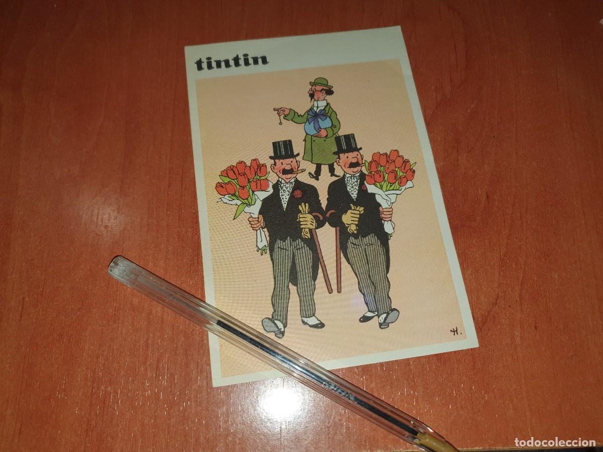 Postales: Tintin, tarjeta postal, editorial juventud, 14,5 x 10 cm.