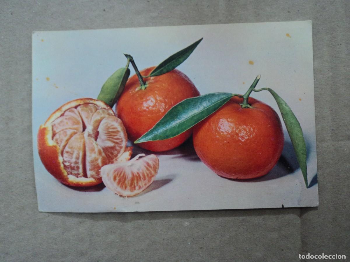 Postales: Clementina - postal Banco Hispano Am&eacute;ricano - Foto 1
