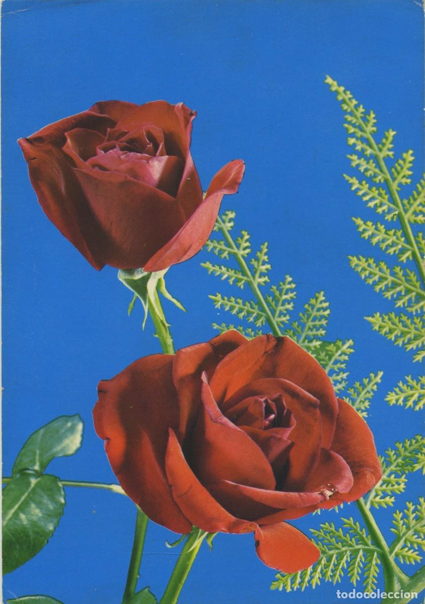 Postales: ROSAS. EDICI&Oacute;N DE EDUG. PAR&Iacute;S. Circulada en 1972. - Foto 1