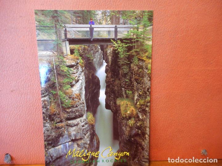 Postais: POSTAL DEMALIGNE CANYON.CANADIAN ROCKIES.