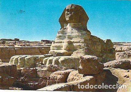 Postales: Egito & Marcofilia, Giza, Sphinx, MS Royal Viking a Carmel-by-the-Sea USA. 1980 (76868)