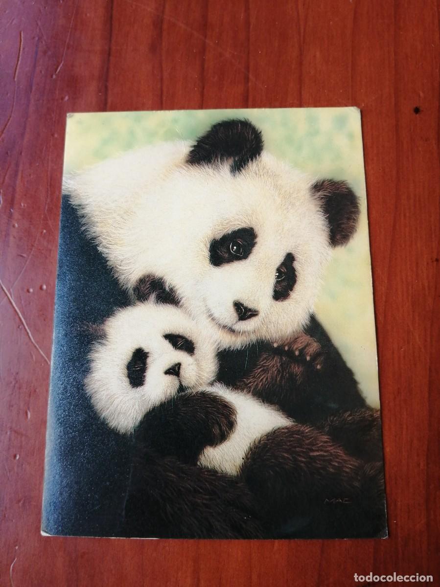 Postales: POSTAL PANDAS BY JON MAC AT MEIKLEJOHN ILUSTRATION - Foto 1