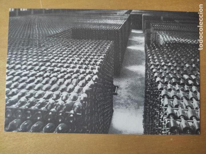 Postales: VINOS ENVEJECIENDO N&ordm; 7 SC SANT SADURNI DE NOYA 1960 CODORNIU PROMOCIONAL ESPUMOSOS CAVA