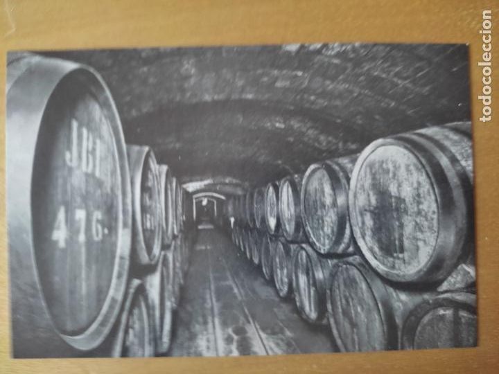 Postales: VINOS CRIANZA N&ordm; 6 SC SANT SADURNI DE NOYA 1960 CODORNIU PROMOCIONAL ESPUMOSOS CAVA