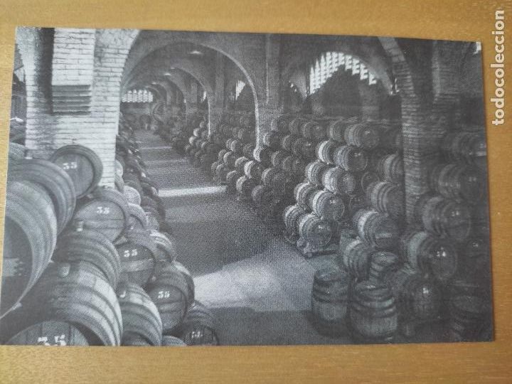 Postales: BODEGA N&ordm; 5 SC SANT SADURNI DE NOYA 1960 CODORNIU PROMOCIONAL ESPUMOSOS CAVA