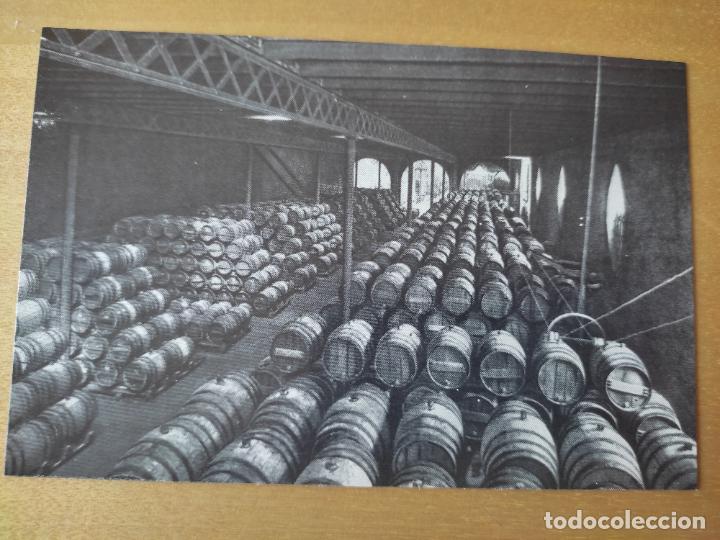 Postales: BODEGA N&ordm; 3 SC SANT SADURNI DE NOYA 1960 CODORNIU PROMOCIONAL ESPUMOSOS CAVA