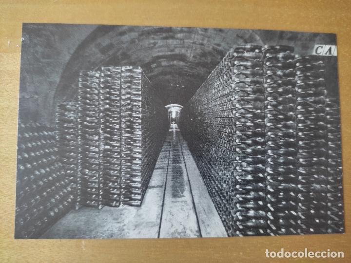 Postales: BOTELLAS EN CAVA N&ordm; 9 SC SANT SADURNI DE NOYA 1960 CODORNIU PROMOCIONAL ESPUMOSOS CAVA