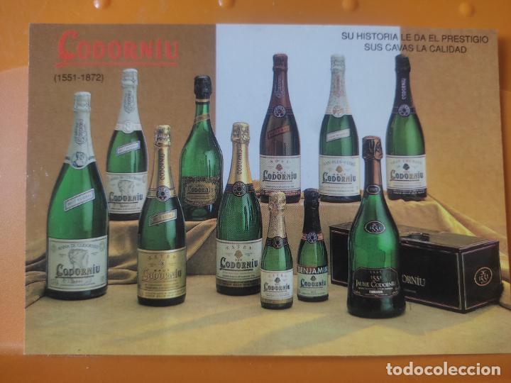 Postales: CODORNIU CAVAS SELECCION 1990 SC POSTAL
