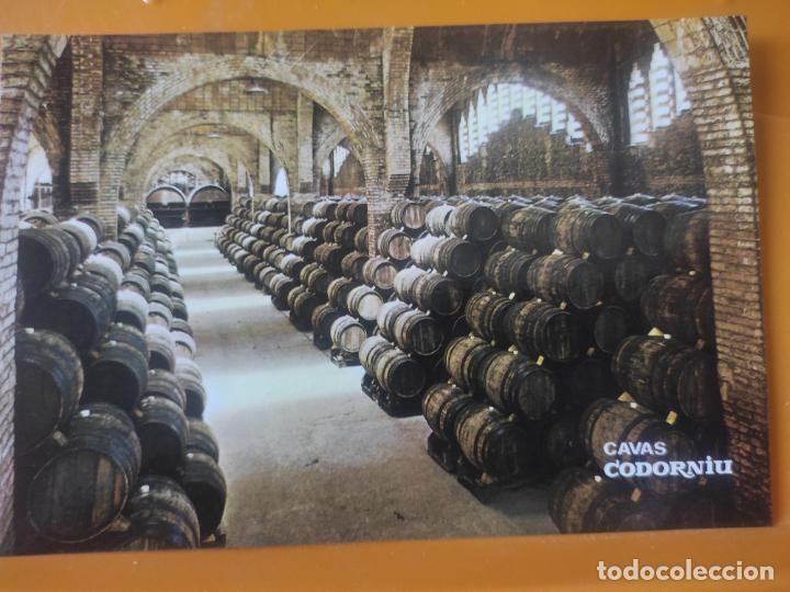 Postales: CODORNIU CAVAS SELECCION 1985 BODEGA SC POSTAL - Foto 1